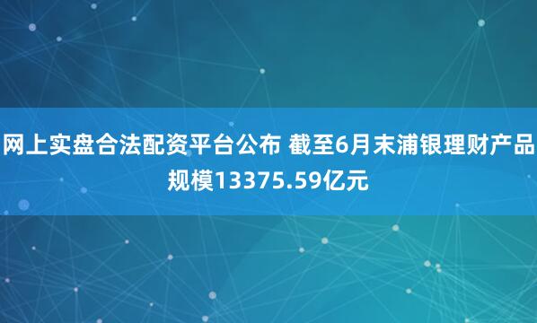 网上实盘合法配资平台公布 截至6月末浦银理财产品规模13375.59亿元