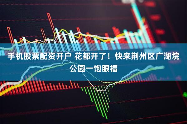 手机股票配资开户 花都开了！快来荆州区广湖垸公园一饱眼福